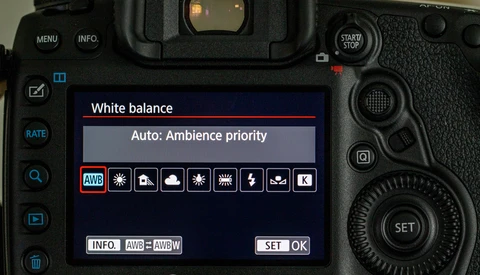 Never Trust Auto White Balance for Your Photography