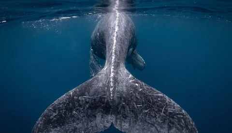 National Geographic Travel Photo Contest Now Open