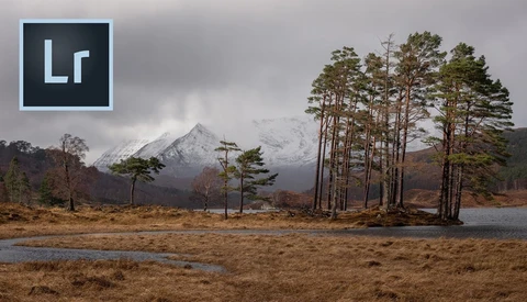 One Tip to Improve Your Landscape Photography in Lightroom