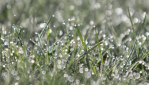 Spring Photography Is Hard: Here Are Seven Tips