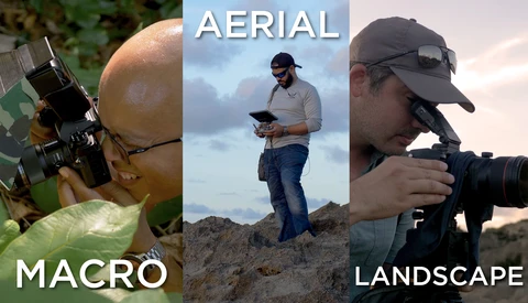 Three Photographers, Three Different Specialties, One Location