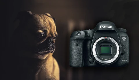 Is This the End of the Canon EOS 7D Series of Cameras?