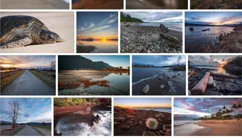 How One Photographer Made $35,000 in Stock Photo Sales