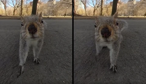 Kandao Uses AI to Bring Super-Smooth Extreme Slow Motion to Video
