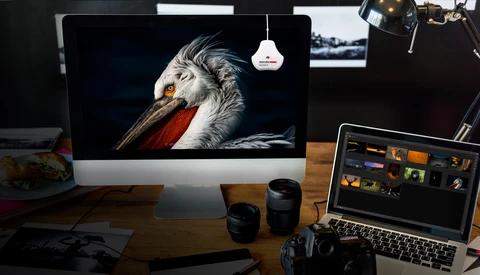 Fstoppers Reviews the SpyderX Pro: Is This the Best Monitor Calibration Tool?