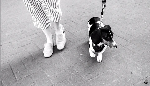 How Do You Know Whether a Photo Should Be in Color or Black and White?