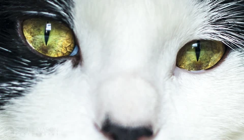 Photographers: Protect Your Vision With These Five Habits