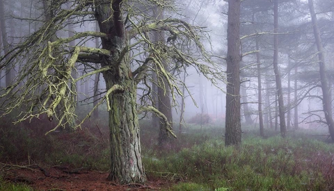 Do You Create Emotion With Your Photography?