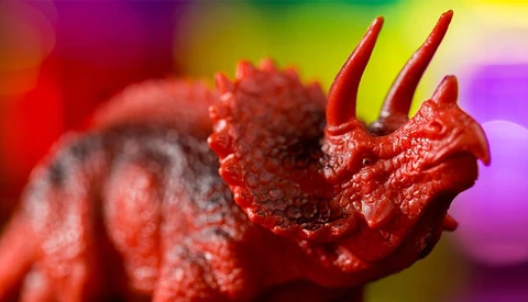 Light Tricks to Make Your Macro Photography Stand Out