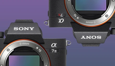Sony Releases Firmware 3.0 for a7R III and a7 III Cameras With Animal Eye AF, Time-Lapse Mode