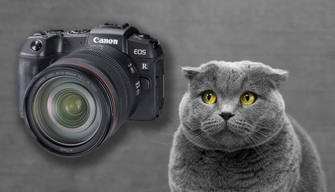Canon's Dramatic Drop in Sales is a Sign of Something Much More Ominous for Photographers