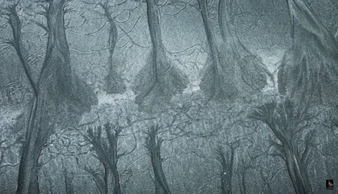The Importance of Keeping an Open Mind and Being Flexible in Photography