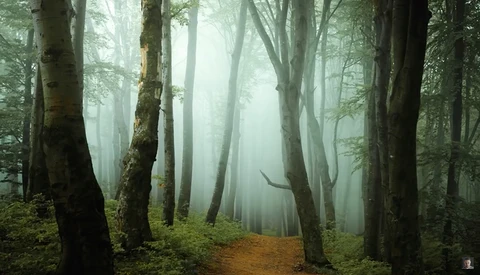 12 Ideas and Tips to Improve Your Springtime Landscape Photos