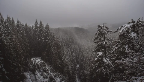 Photography and Hiking for Pleasure, Not Profit