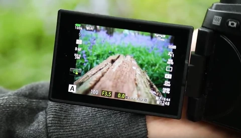 Spring Love: How to Use This Season to Become a Better Photographer