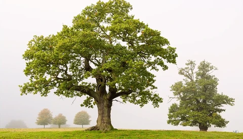 How to Create More Depth in Your Landscape Images