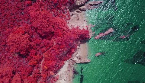 Check Out This Infrared Drone