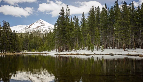 All About Lightroom's New Texture Slider