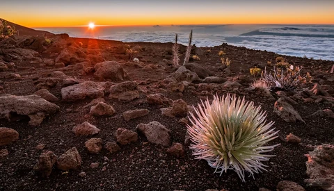 Simple Steps for Planning a Travel Photography Trip