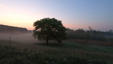 What to Do When You Just Don’t Have Anything Worth Photographing
