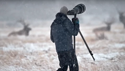 On Location With Nikon Ambassador Keith Ladzinski and the Nikon Z 6
