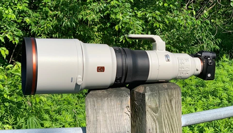 Sony FE 600mm f/4 GM OSS First Impressions From a Bird Photographer