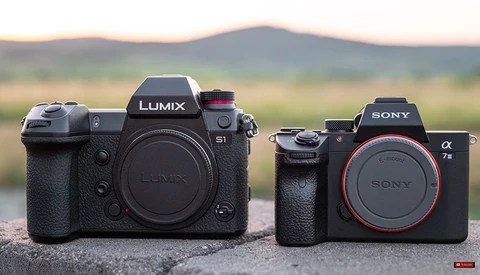 The Sony a7 III Versus the Panasonic S1: Which Is Today's Best Hybrid Camera?