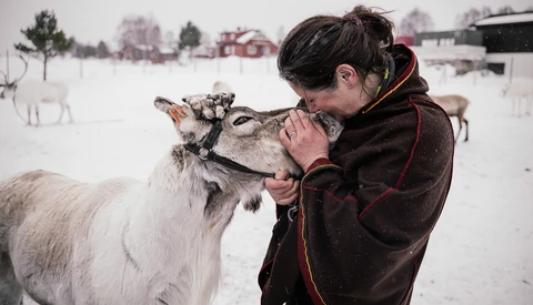 Into the Wild With the Reindeer of Norway and Sami Culture