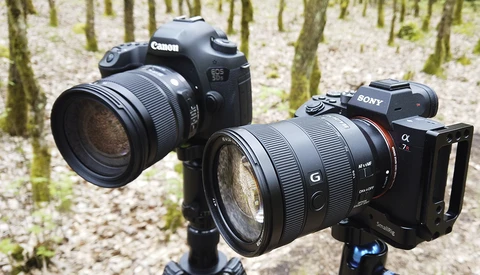 A Sharpness Test Between the Canon 5Ds and Sony a7R III