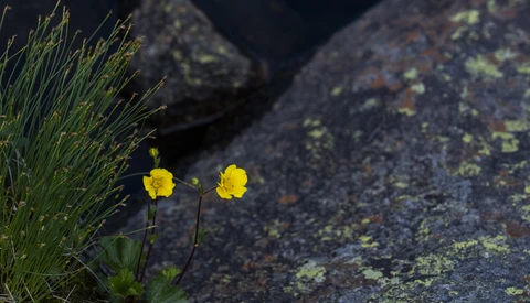 Apps That Will Add a New Level of Intelligence to Your Photographs.