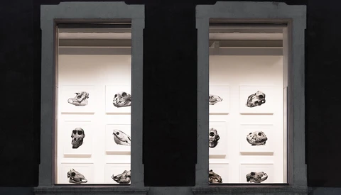 Lesser Known Photography Galleries: Seek Them Out