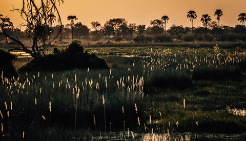 Can Nature Photography Help Improve Your Images?