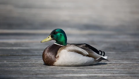 Three Reasons Why Minimalism Can Help Create a Better Photo