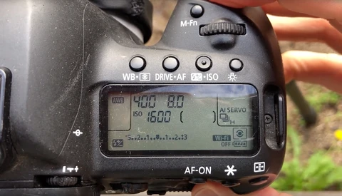 The Case for Manual Mode in Bird Photography