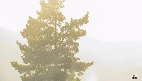 What Can You Accomplish With a $79 Camera?