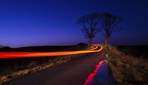 Scottish Nature Photographer's Photos Prove That Persistence Pays Off