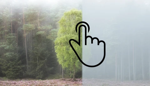 The Power of the Dehaze Tool