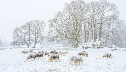 Use Color to Dictate Your Style in Landscape Photography