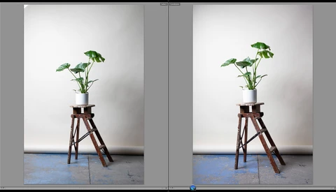 Crop Versus Full Frame: Can You Tell the Difference?