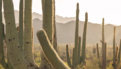 The Importance of Returning to the Same Photography Locations