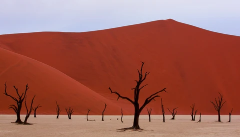 Dust and Rain Covers: A Comparison from Africa (Part One: Poncho Covers)