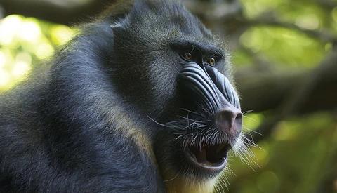 Zoo Days Are Great to Scratch the Photographer Itch When You're a Parent