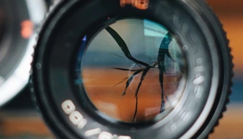 Taking Pictures Using a Lens With a Smashed Middle Element
