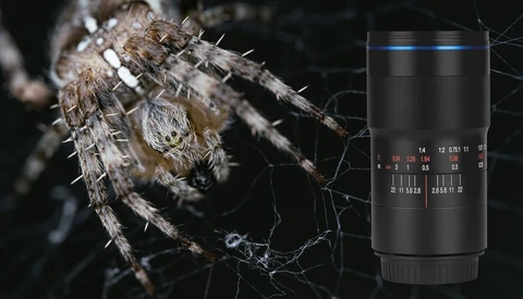 Fstoppers Reviews the Laowa 100mm f/2.8 2:1 Ultra Macro Lens