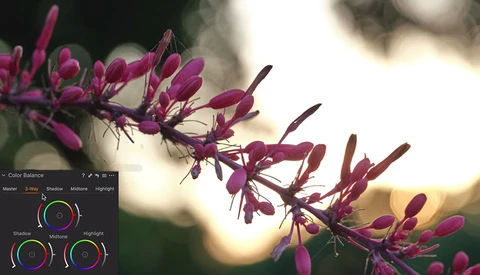 Five Editing Tools Every Photographer Should Know