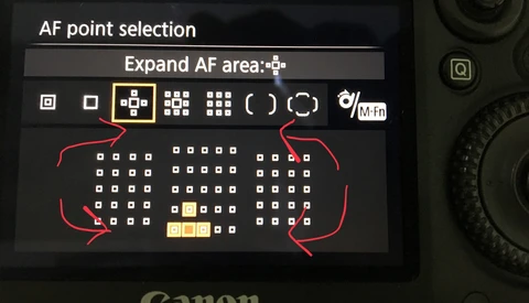 What Is It About Autofocus That's so Important?