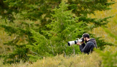 Photographing Jackson Hole Wildlife With the Sony a7R IV and 200-600mm