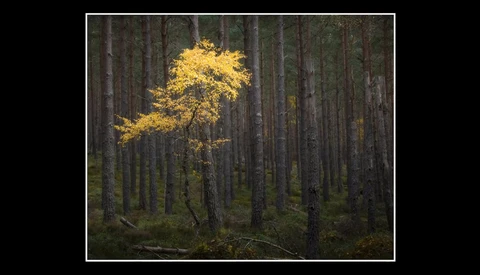 Fall Landscapes and Changing Your Mindset