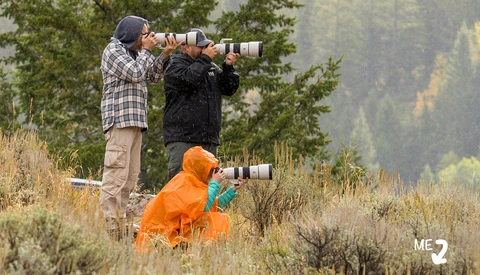 Thousands of Images, Four Photographers, One Trip
