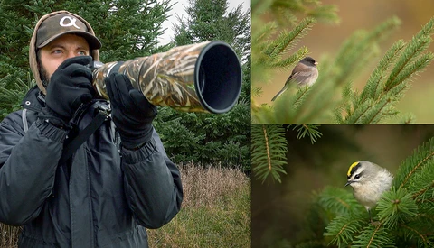 Bird Photography BTS: Planning and Execution Basics